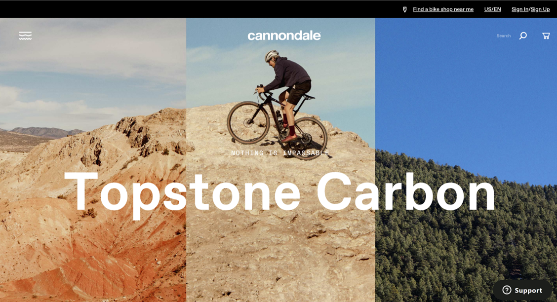 Client Success DorelSports